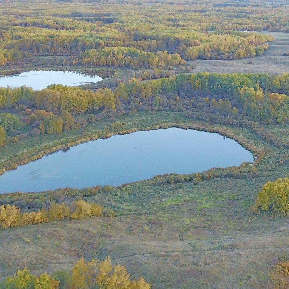 LAND